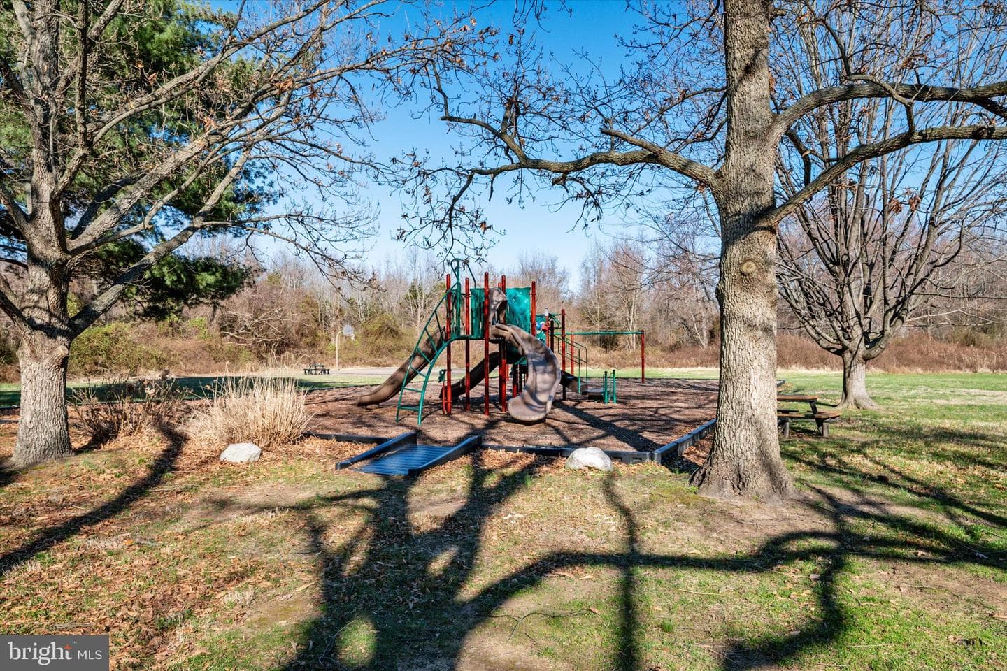 307 Columbia Lane photo 42