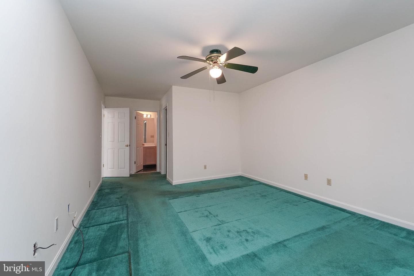 7009 Bridgepointe Drive photo 31