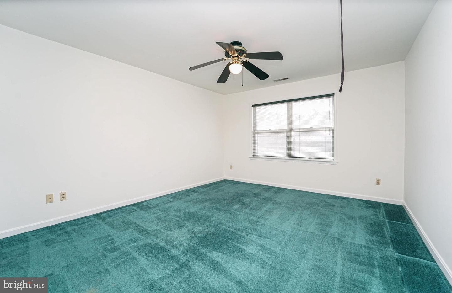 7009 Bridgepointe Drive photo 36