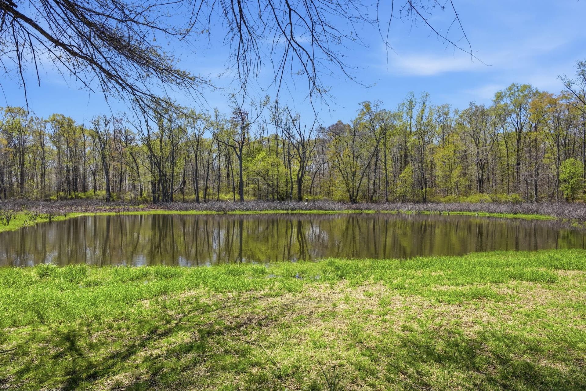 930 Spaniard Neck Road photo 70