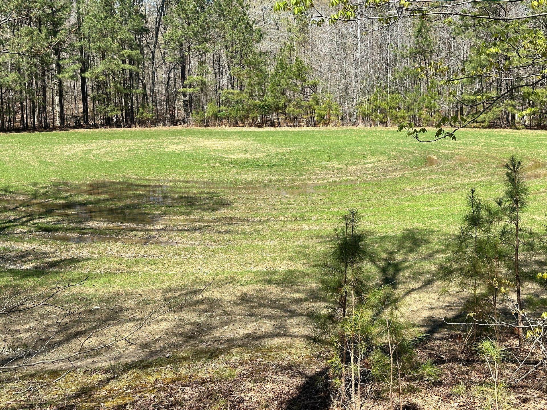 930 Spaniard Neck Road photo 87