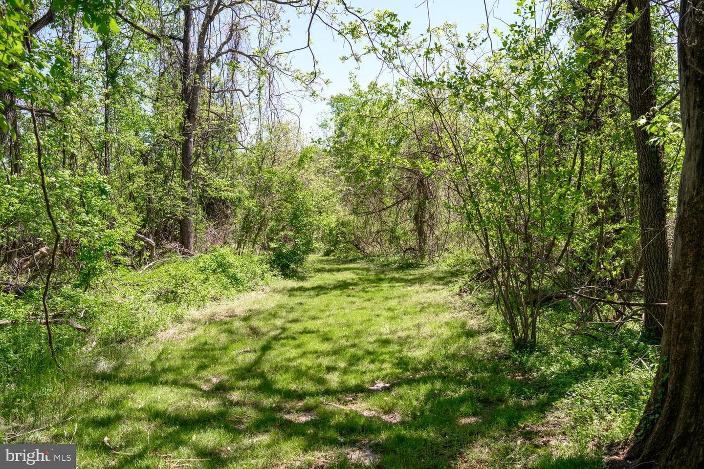 104 Jim Jungle Road photo 38