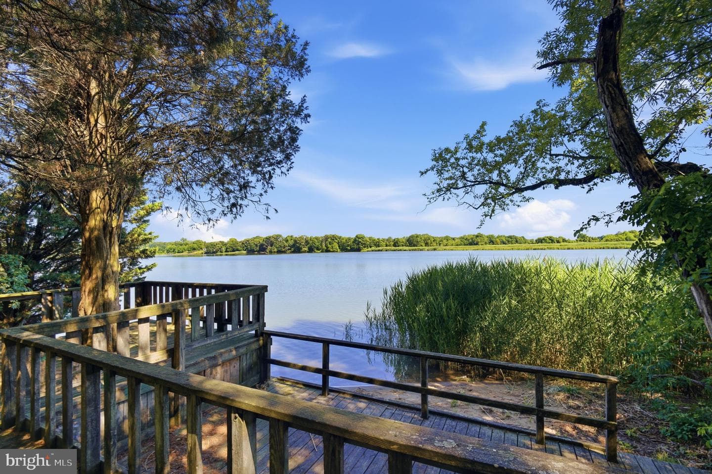 240 Merganser Dr photo 37
