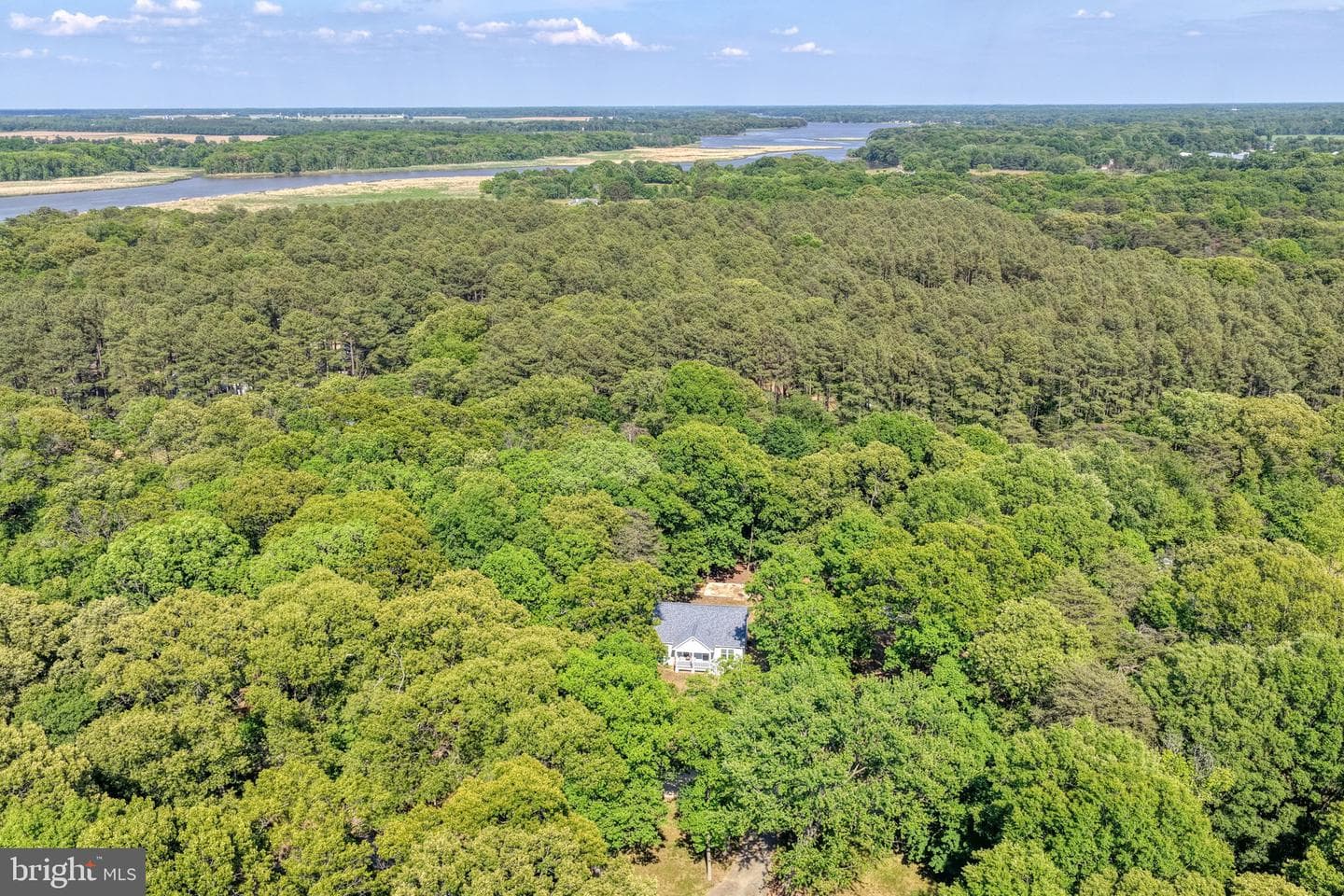 240 Merganser Dr photo 40