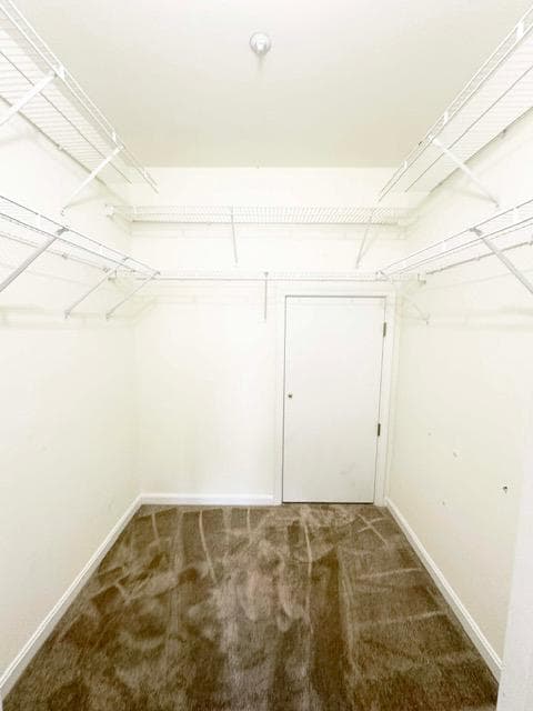 114 Merganser Court photo 15