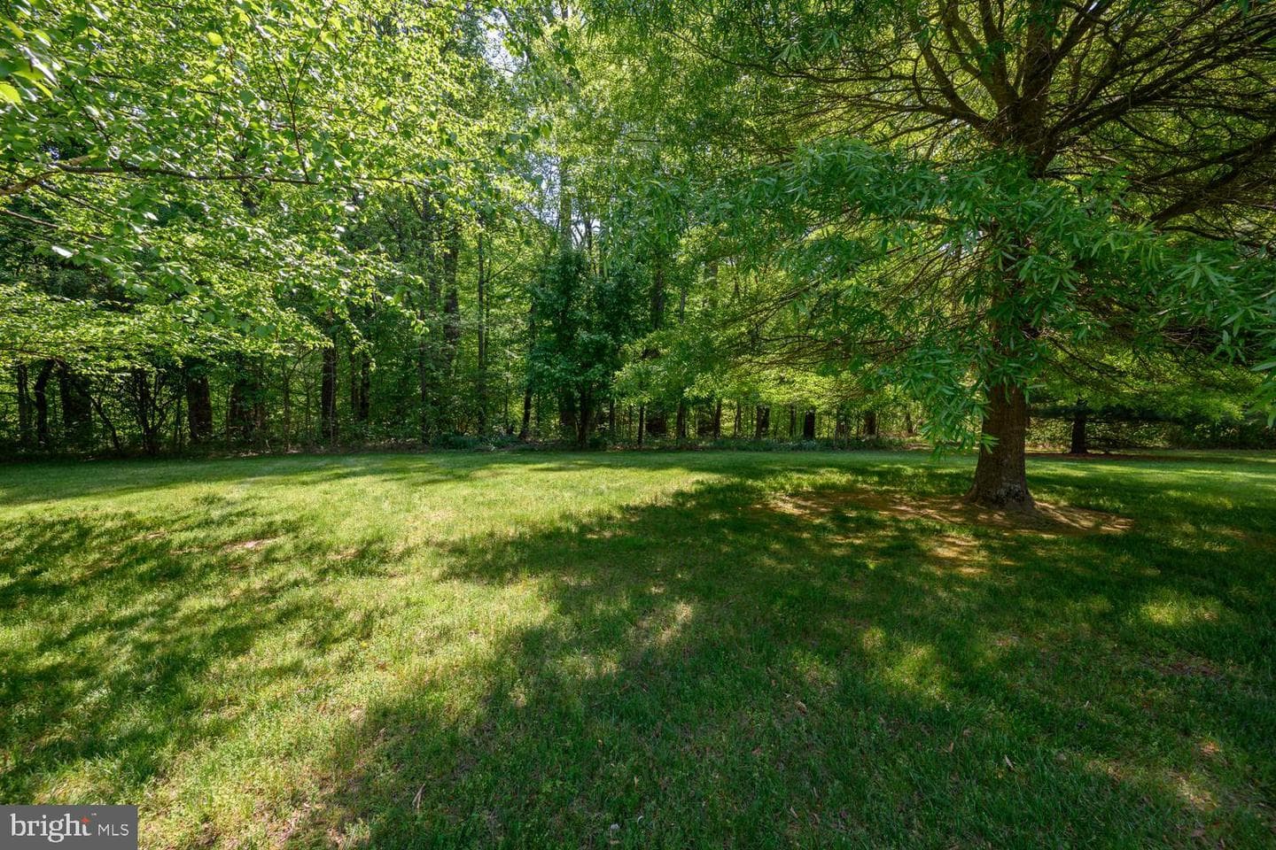 127 Pleasant Springs Drive photo 71