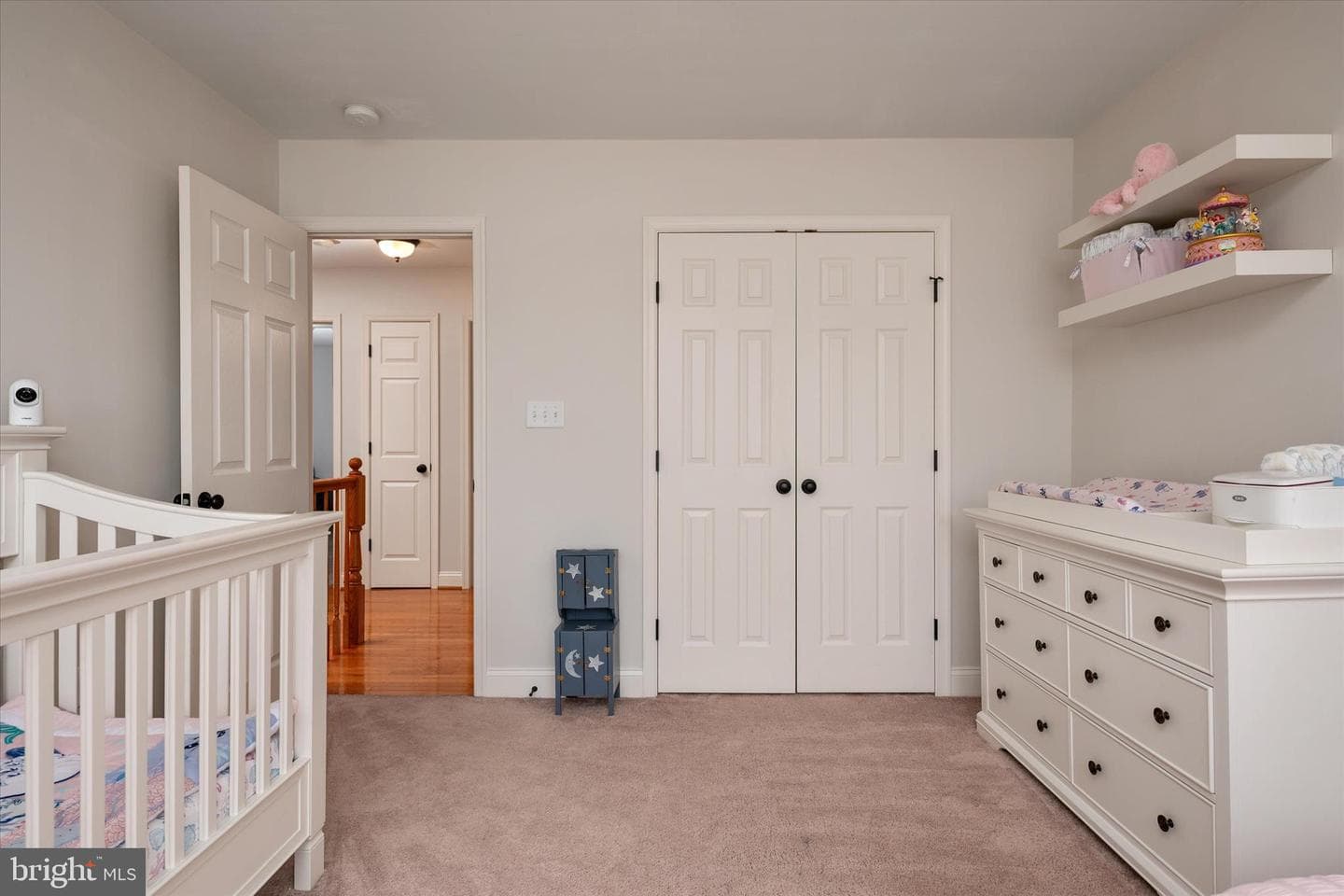 118 Dabbling Court photo 31