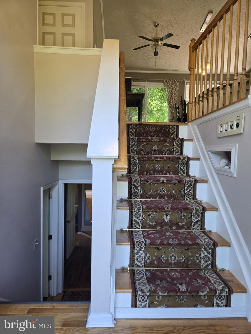 708 Dixon Drive photo 6