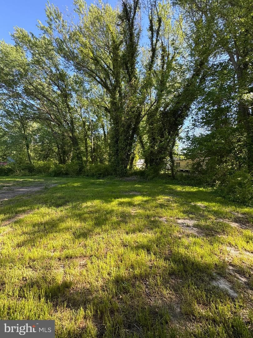 4606 Main Street photo 13