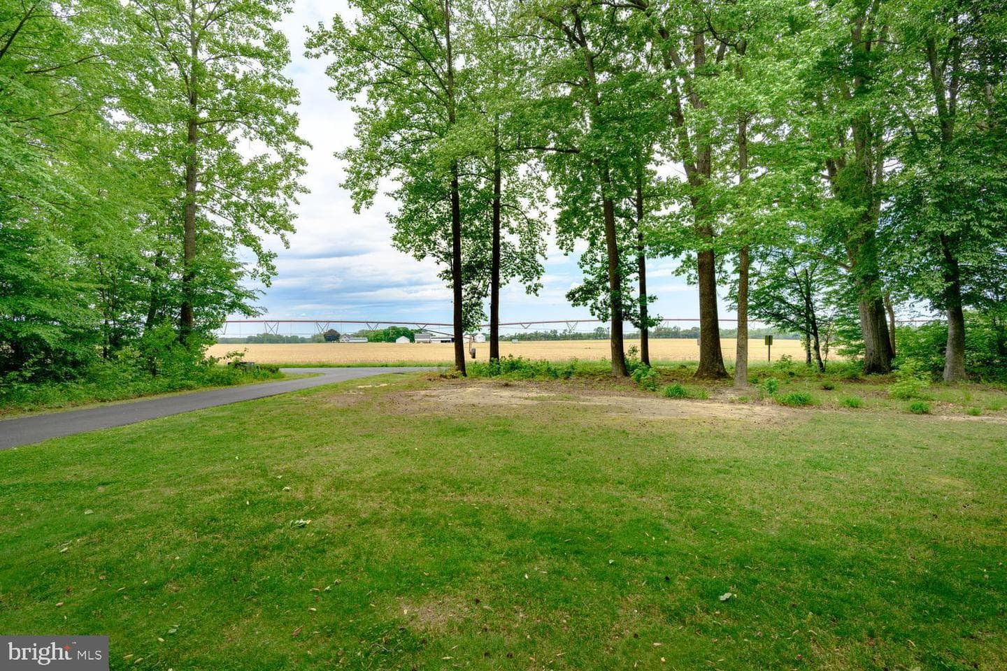 206 Dulin Clark Road photo 6