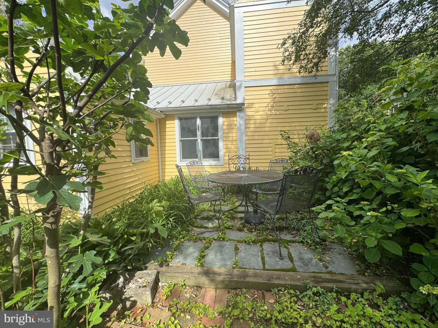115 Watson Road photo 50