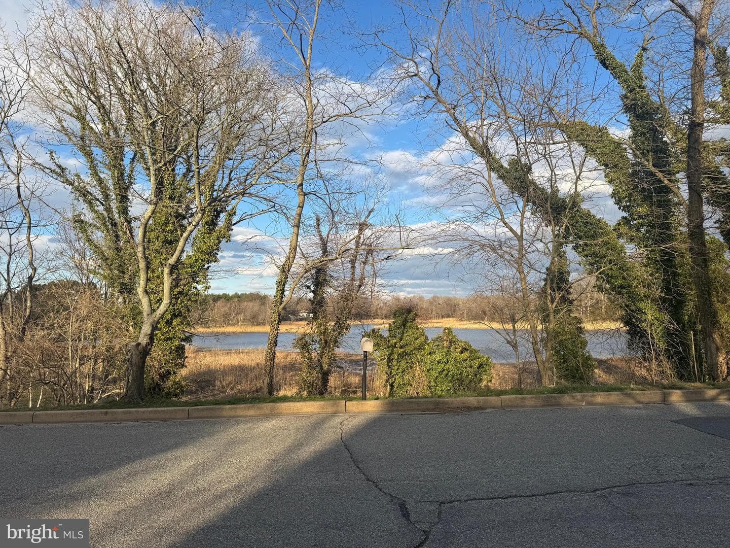 115 Watson Road photo 53