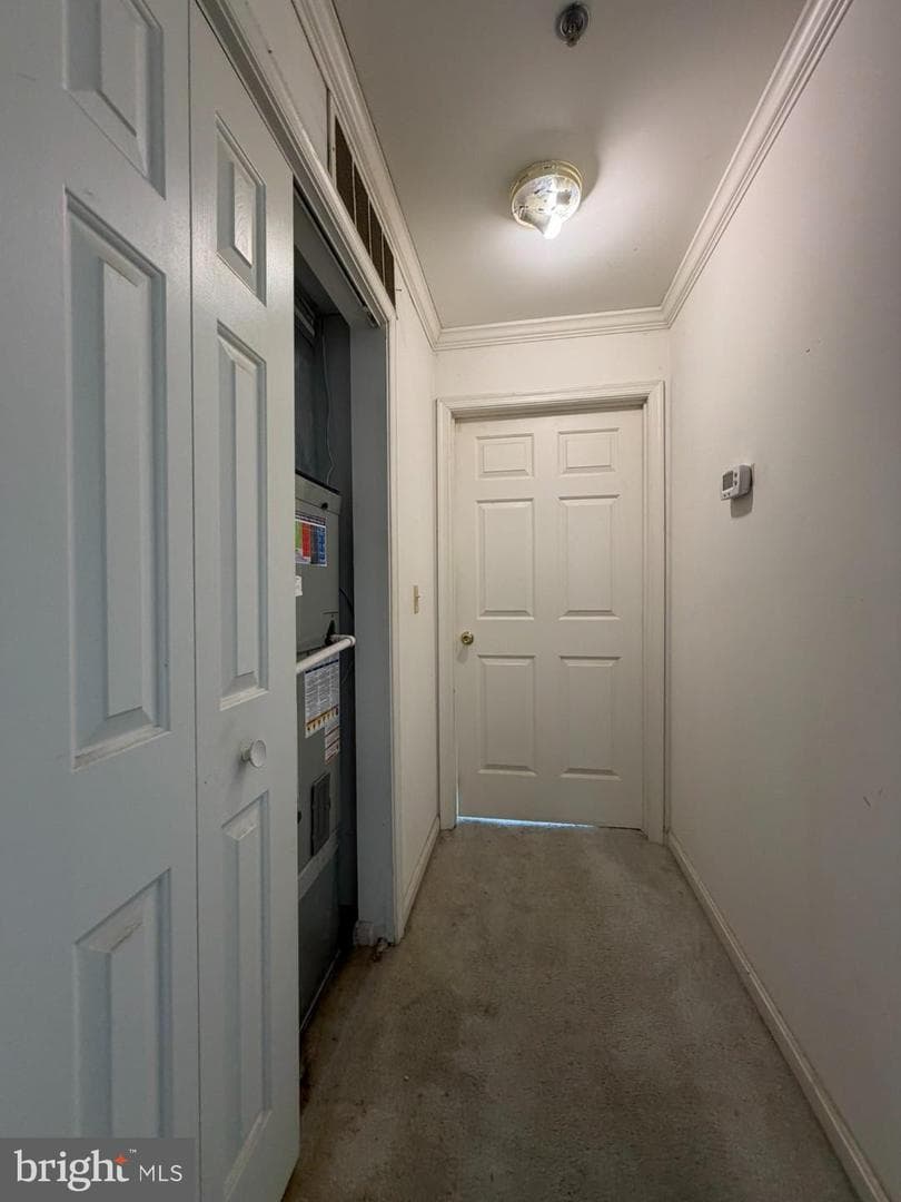 1603 Marion Quimby Drive photo 13