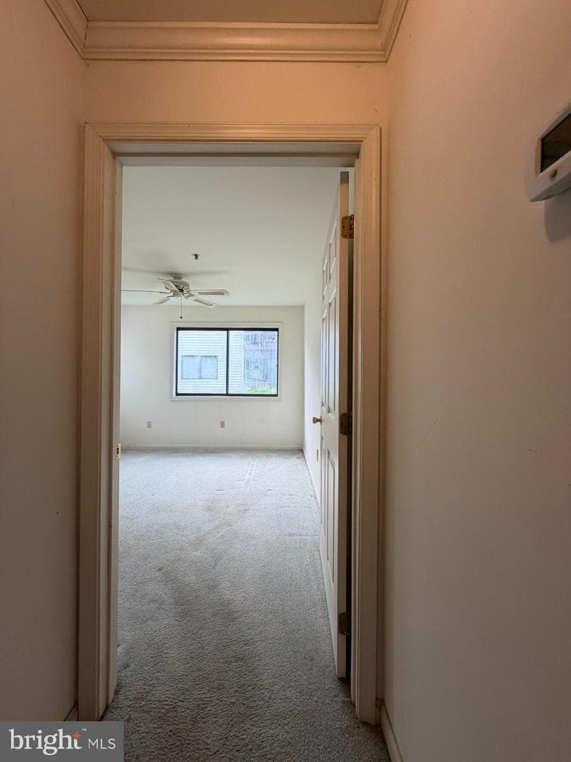 1603 Marion Quimby Drive photo 14