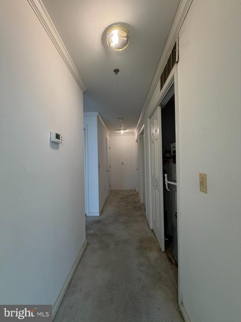 1603 Marion Quimby Drive photo 20