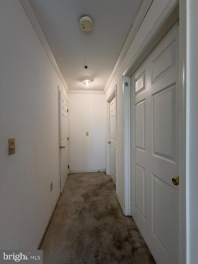 1603 Marion Quimby Drive photo 21