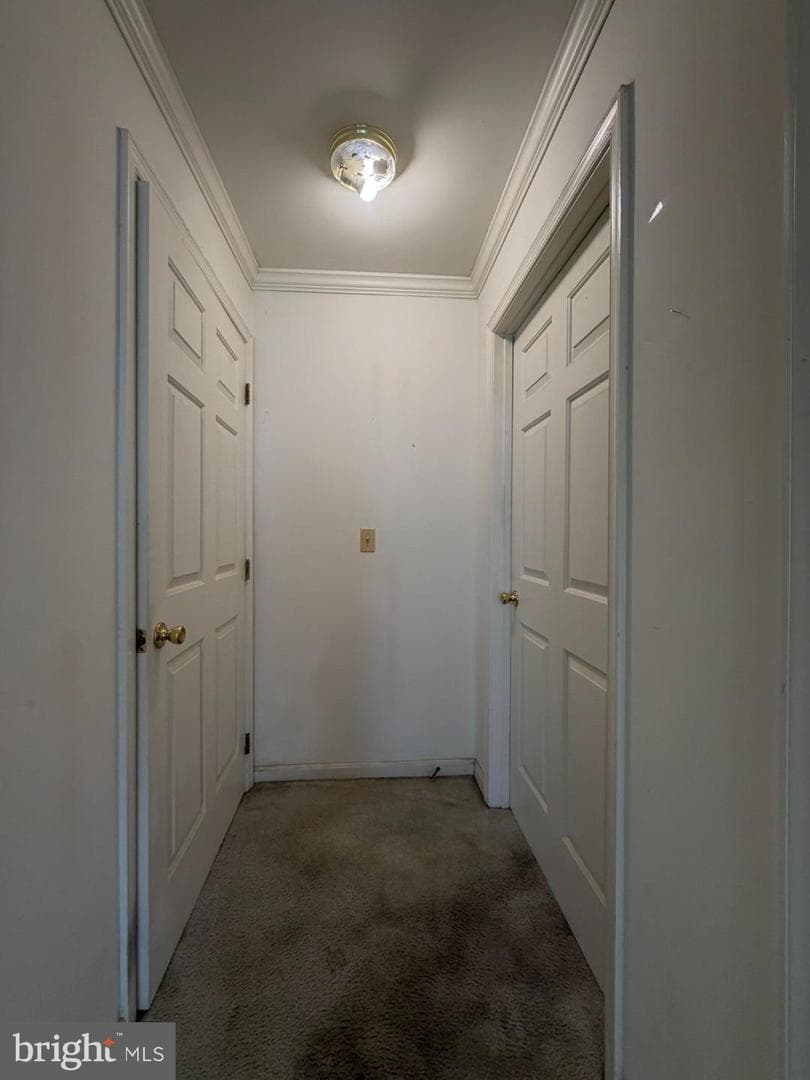 1603 Marion Quimby Drive photo 25