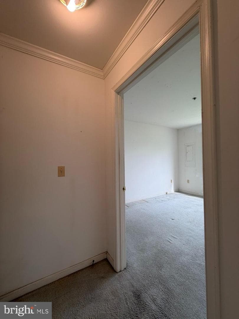 1603 Marion Quimby Drive photo 29