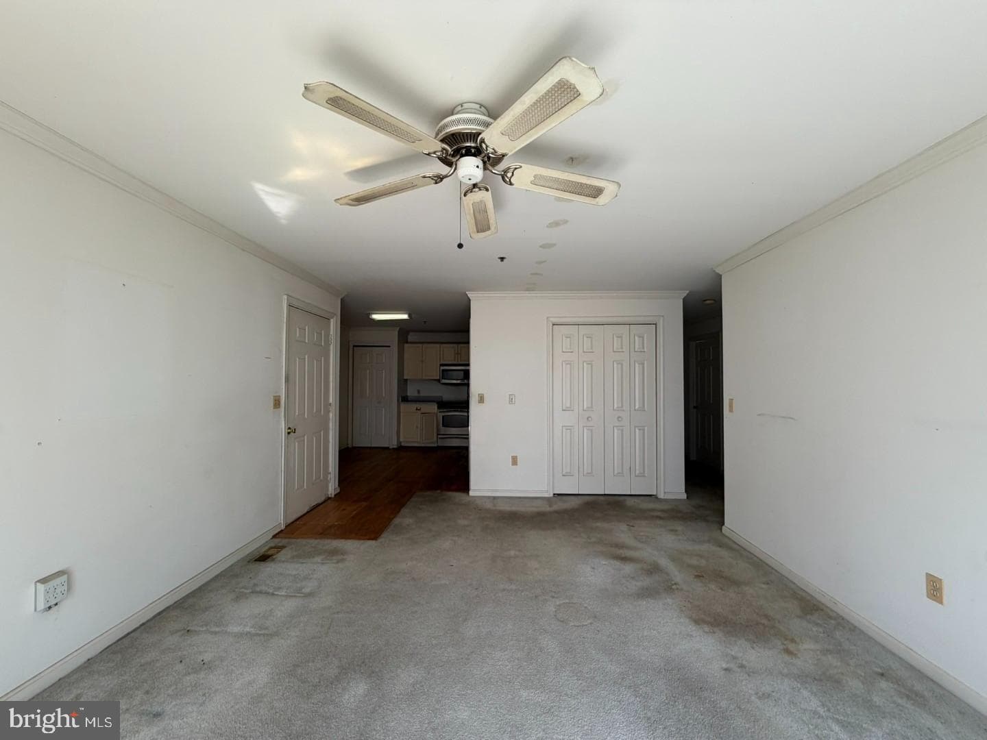 1603 Marion Quimby Drive photo 6