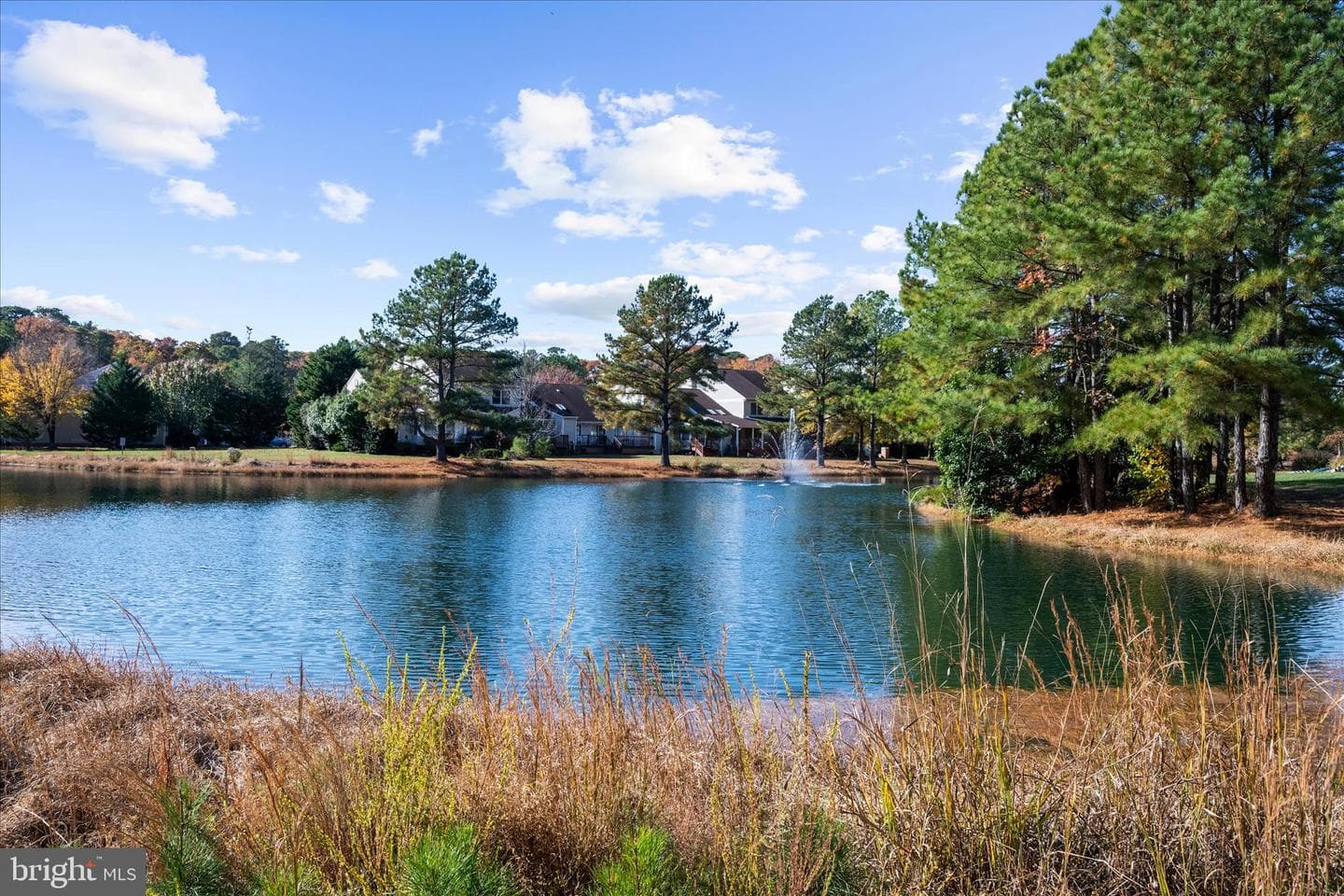 5011 Bridgepointe Drive photo 33