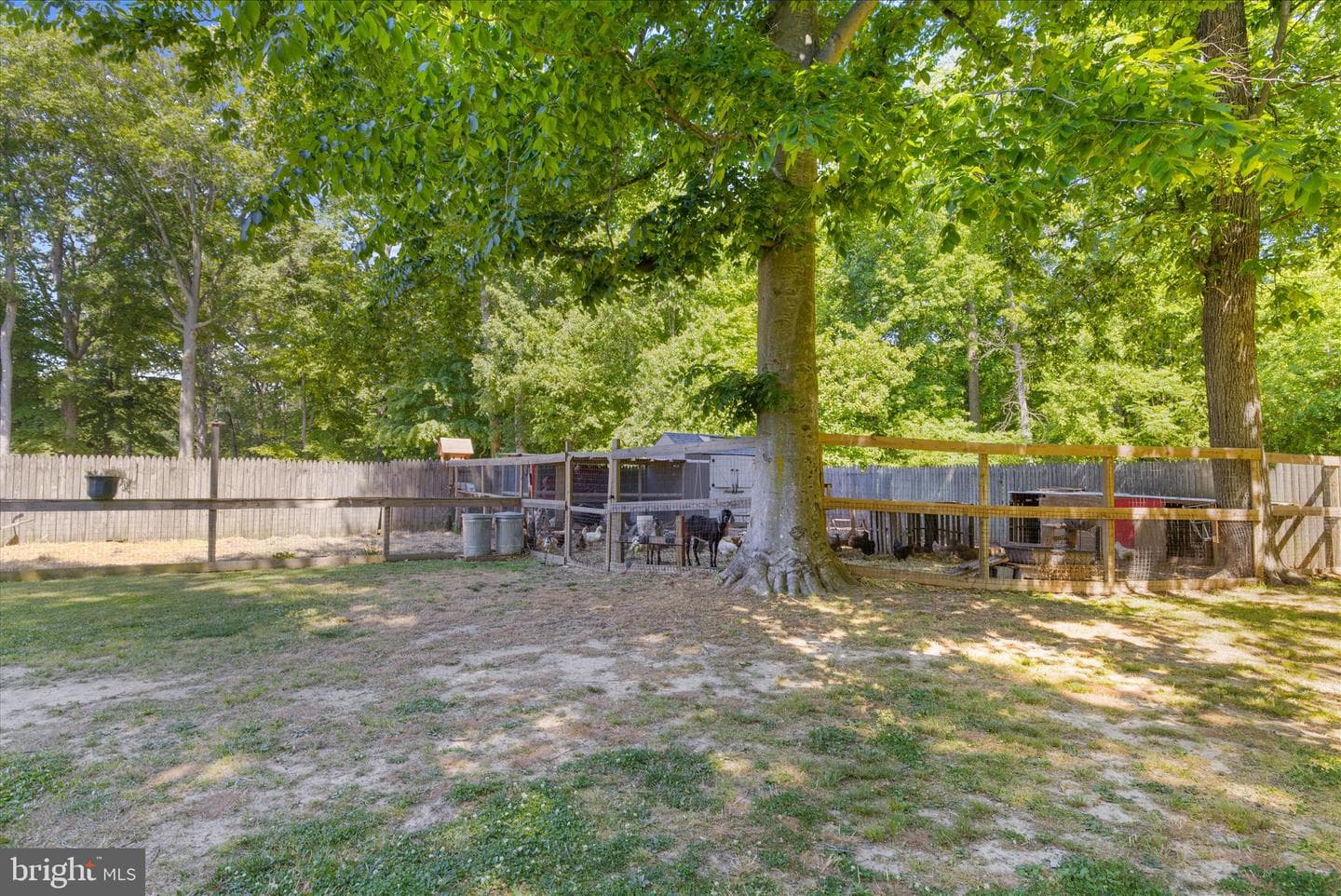137 White Marsh Road photo 66