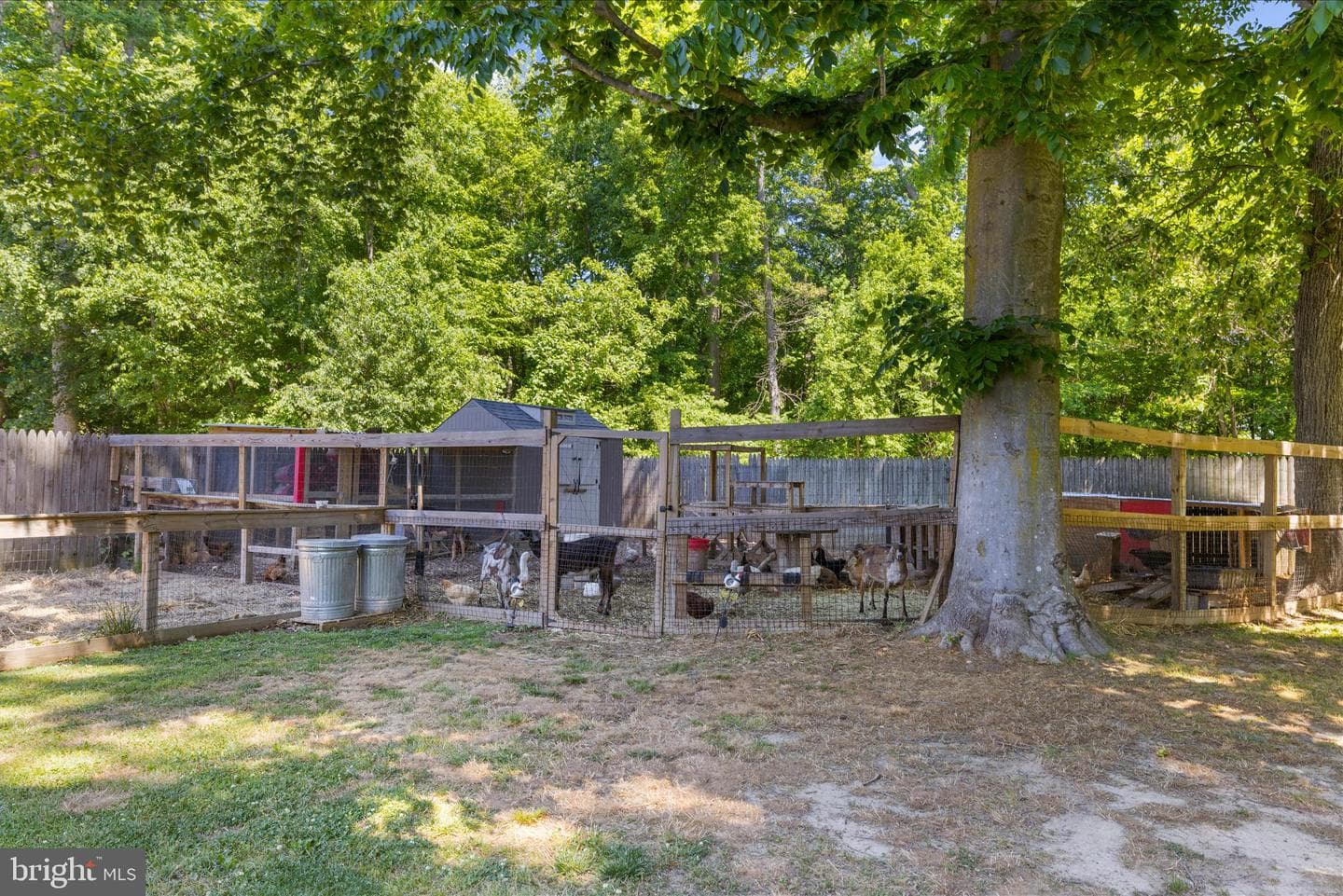 137 White Marsh Road photo 69
