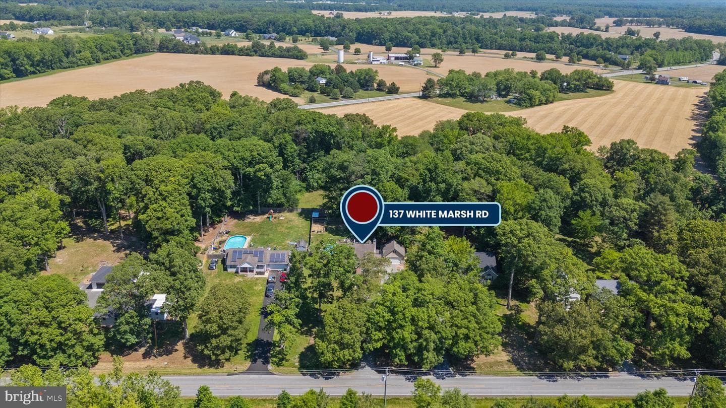 137 White Marsh Road photo 78
