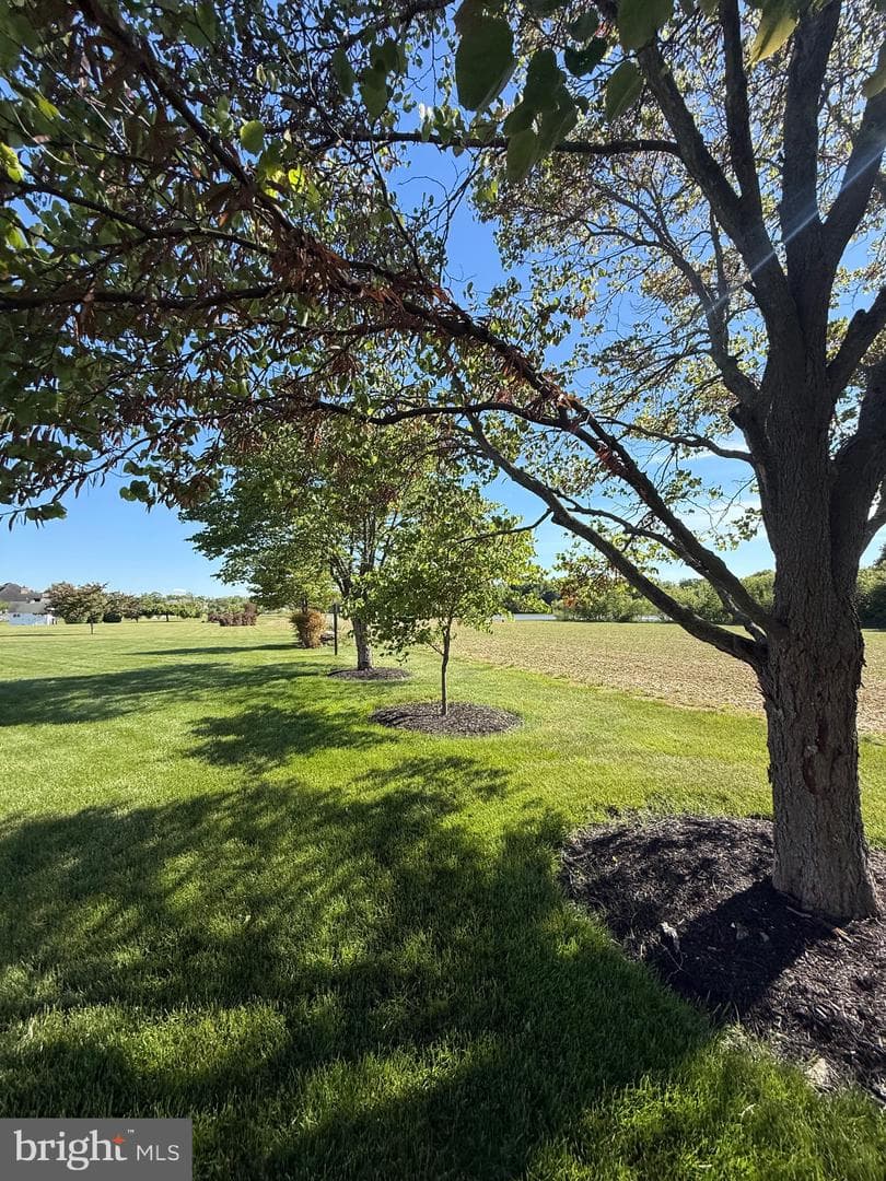 306 Old Line Drive photo 32