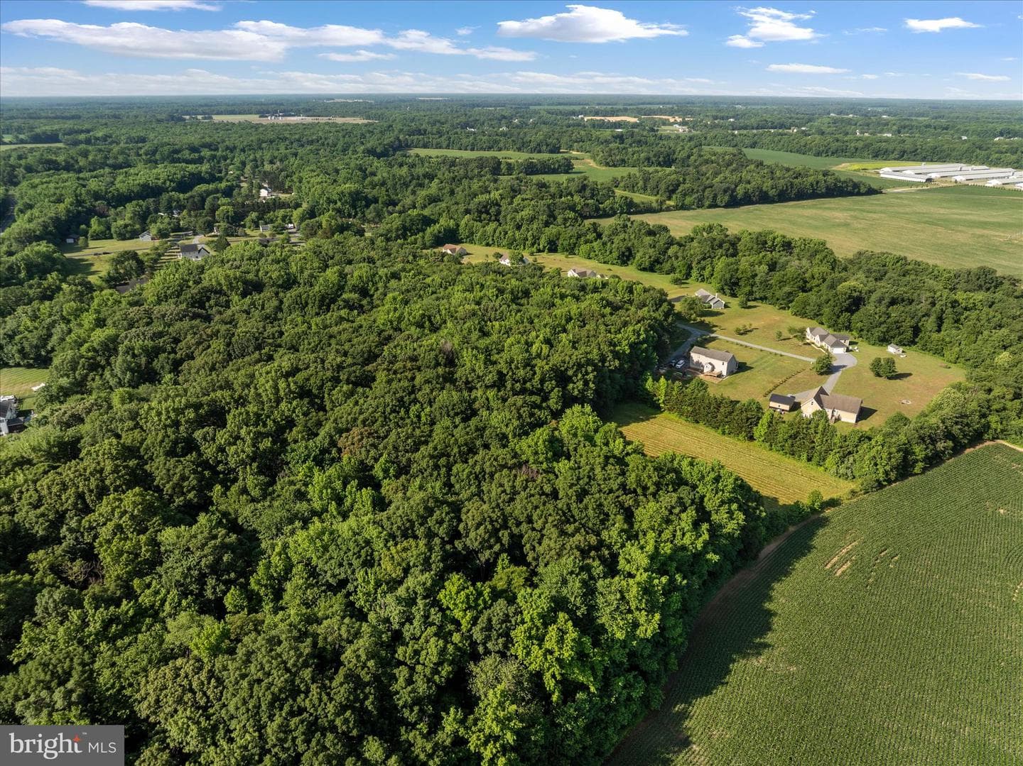 913 Clark Corners Road photo 54