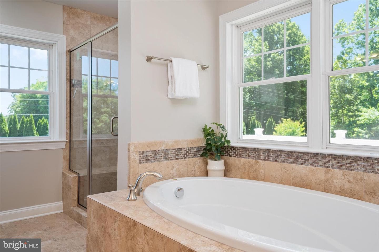 103 Beech Tree Lane photo 37