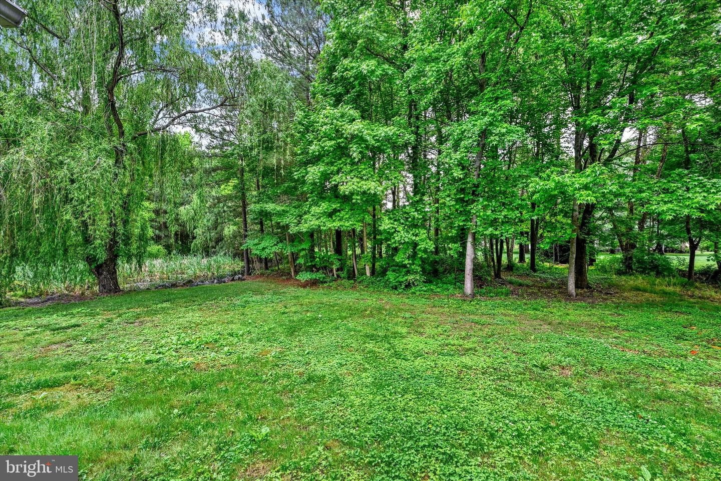 1024 Avalon Court photo 65