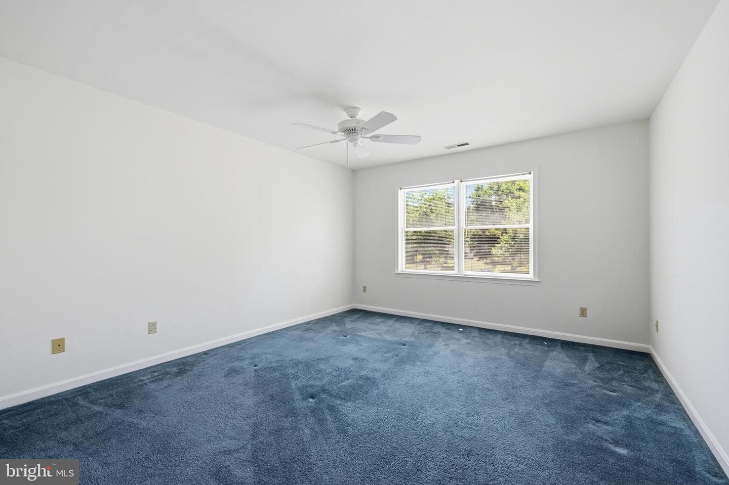 7013 Bridgepointe Drive photo 34