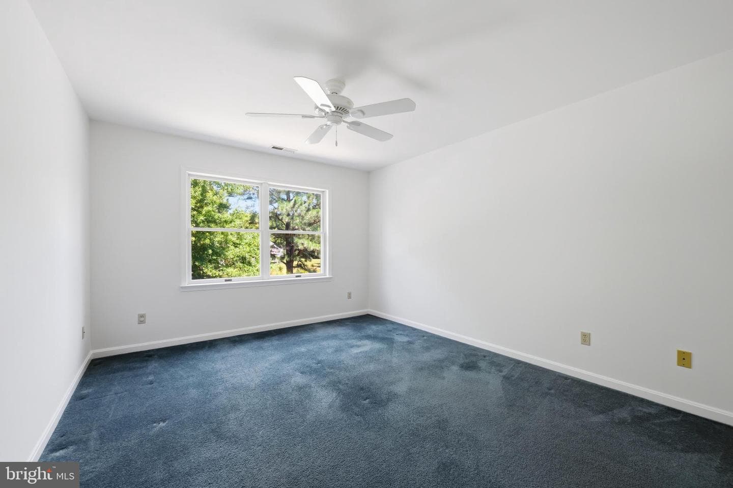 7013 Bridgepointe Drive photo 36