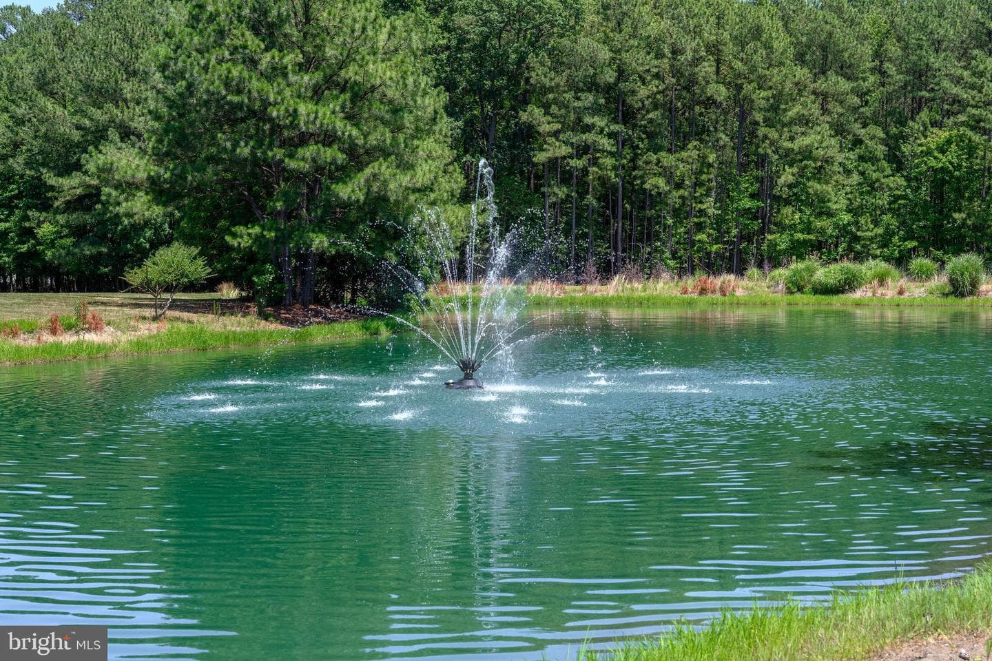 7013 Bridgepointe Drive photo 40
