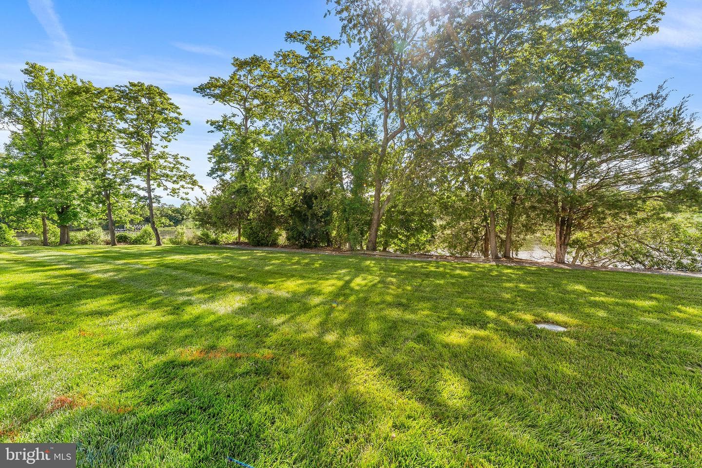 1102 Marion Quimby Drive photo 28