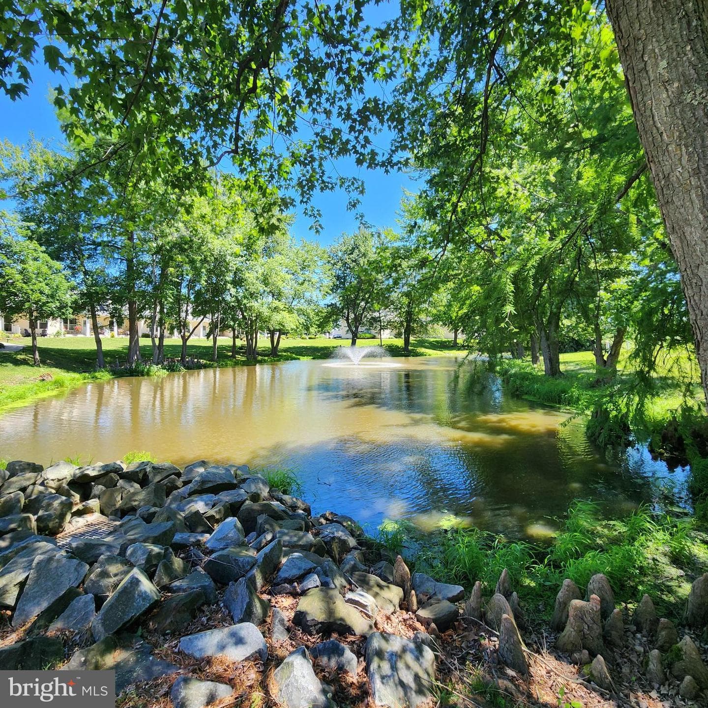 116 The Pond Way #3c photo 26