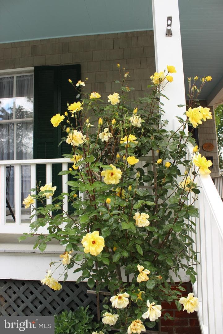 126 S Commerce Street photo 3