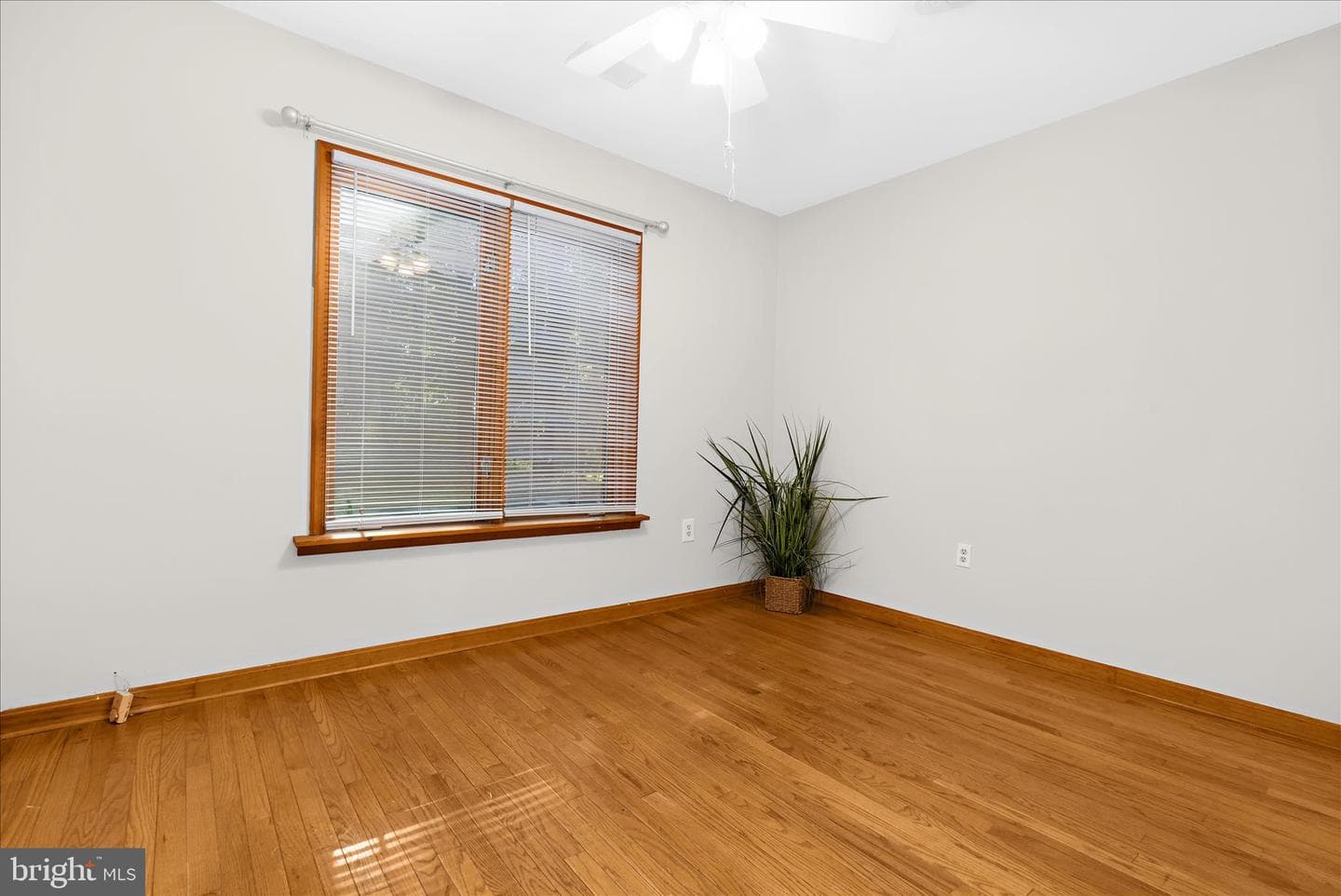 318 Wicomico Road photo 31