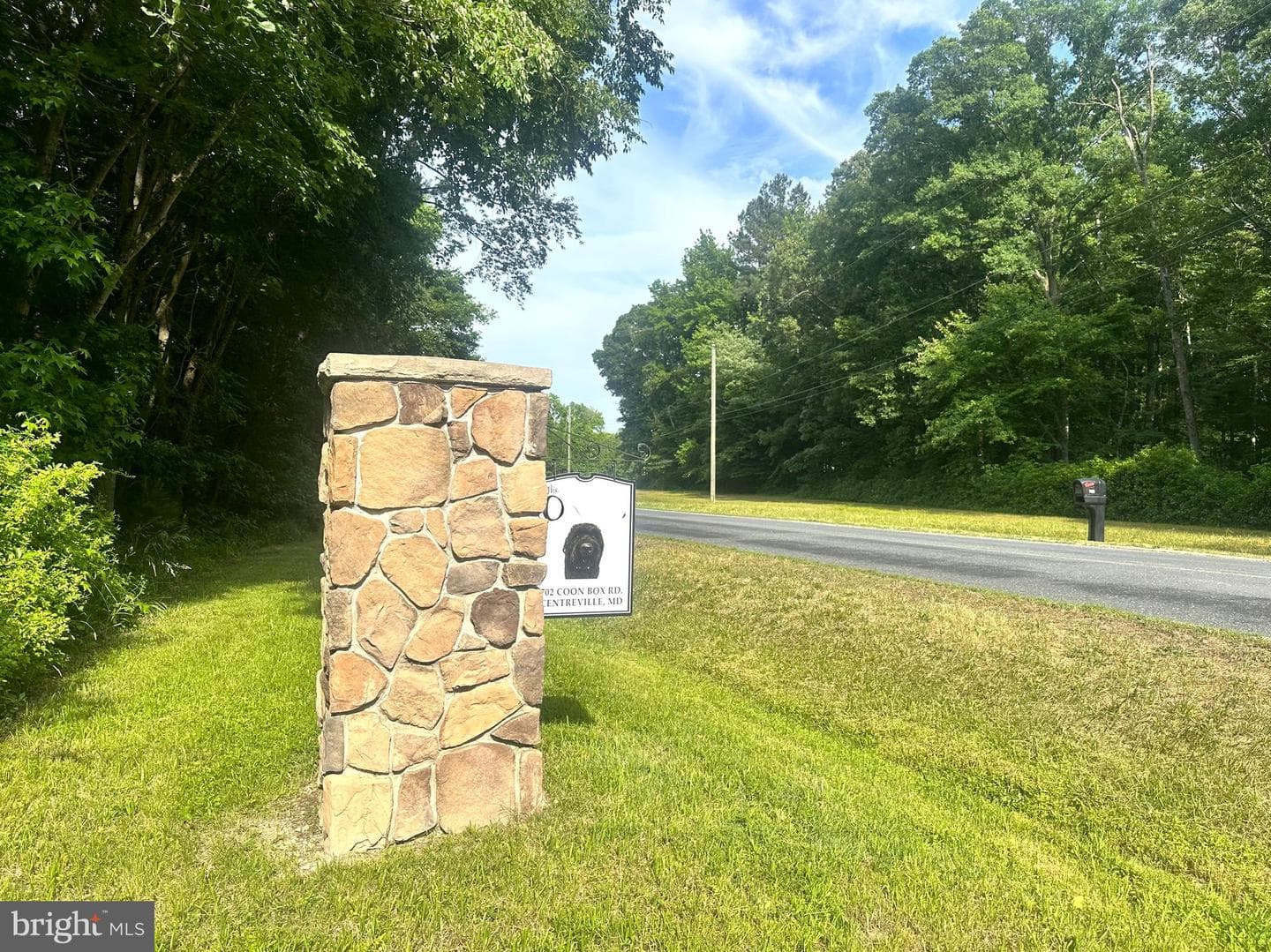 702 Coon Box Road photo 8