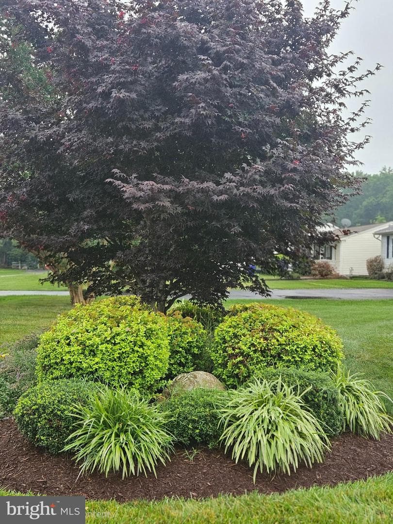508 Paul Drive photo 52