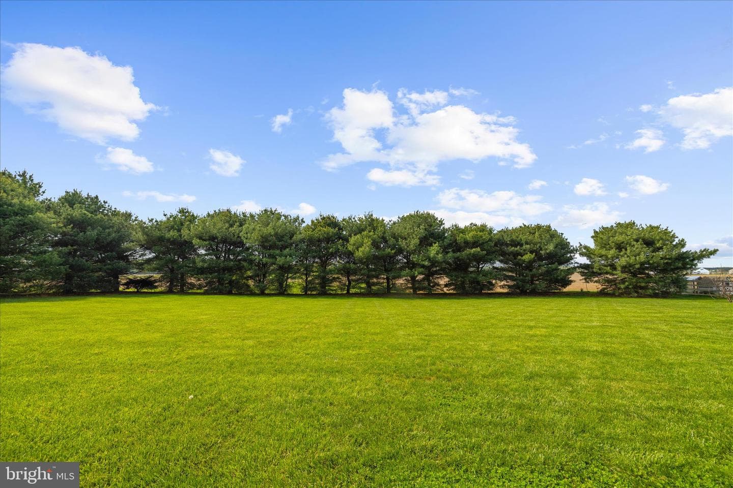 988 White Marsh Road photo 57