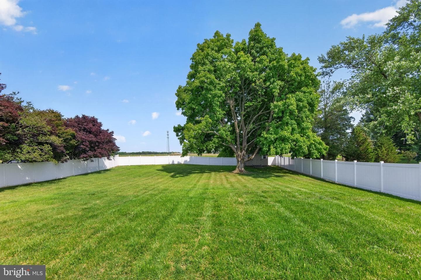 112 Walnut Street photo 8