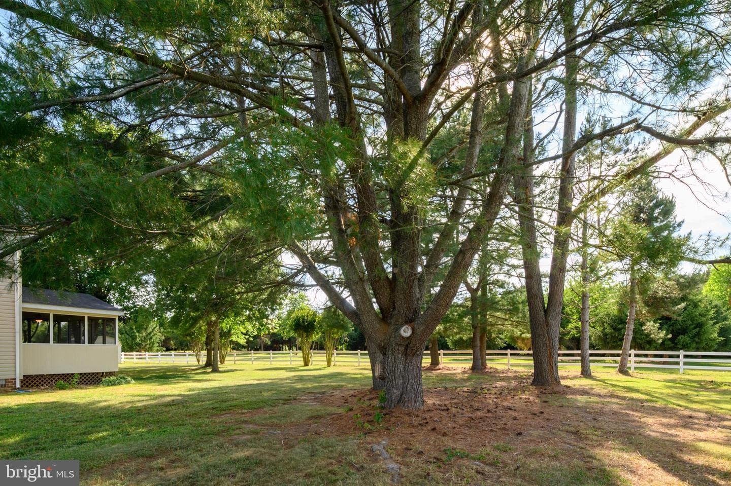 223 Overlook Drive photo 43