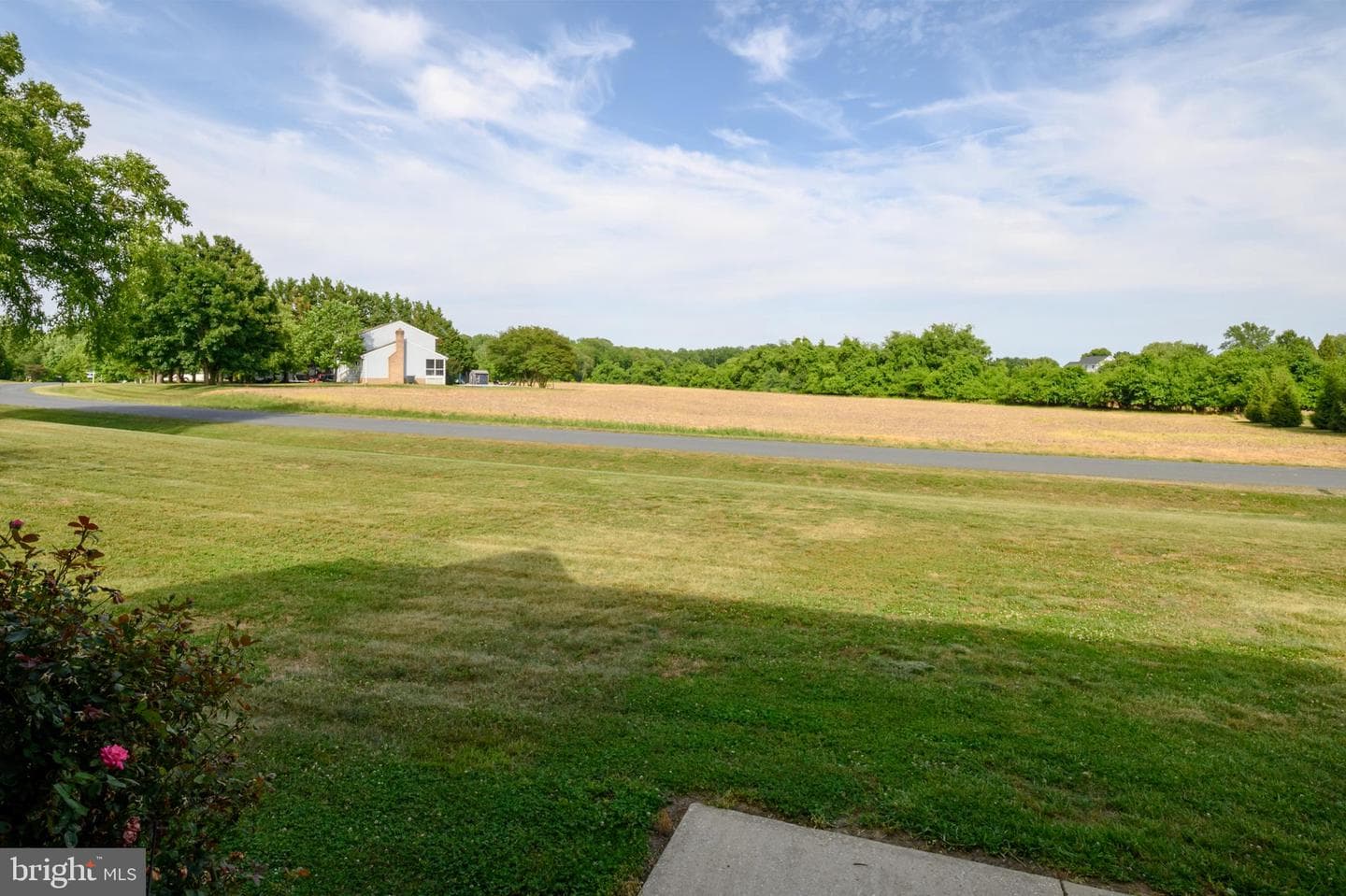 223 Overlook Drive photo 7
