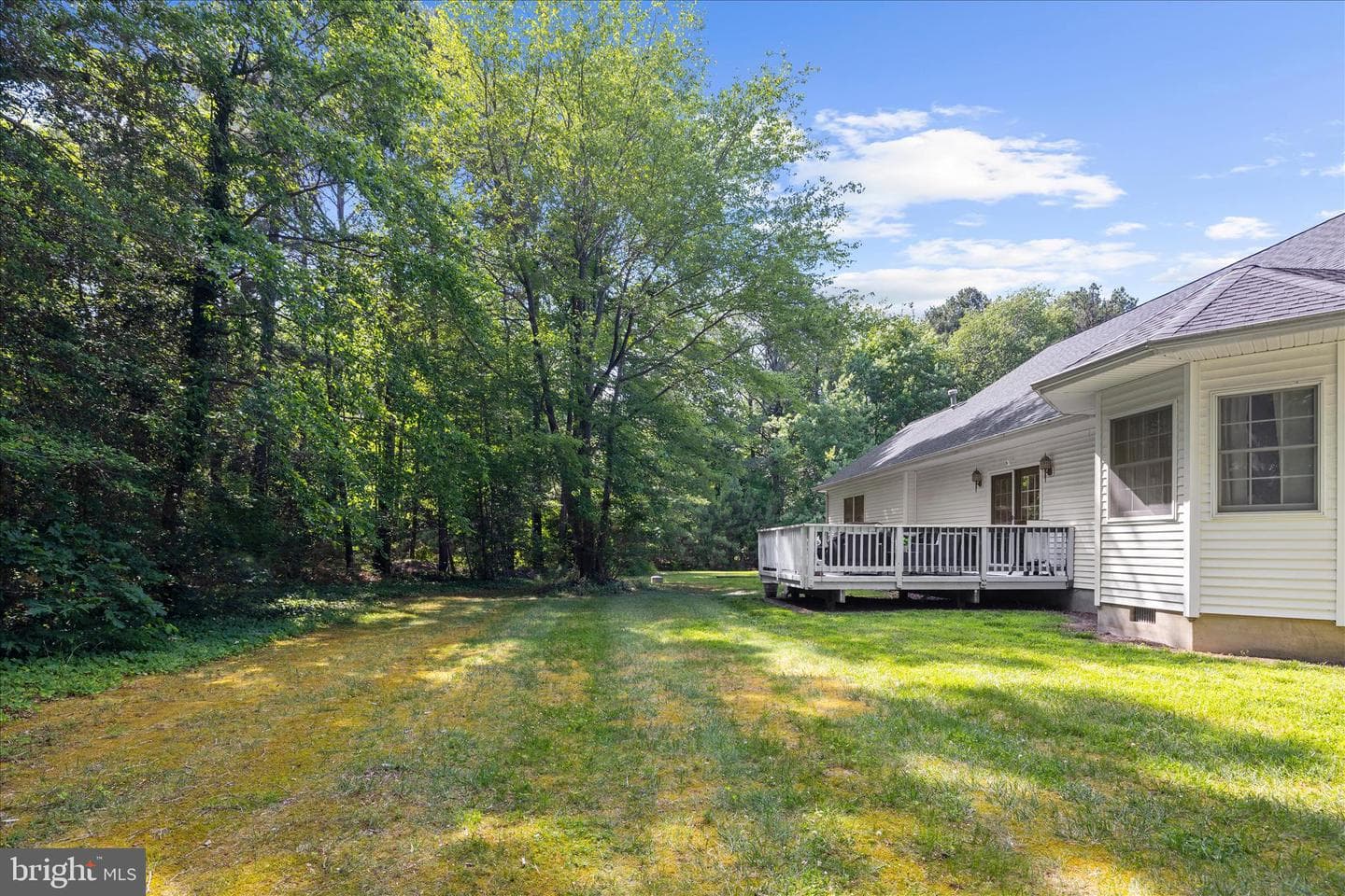 116 Mallard Drive photo 56
