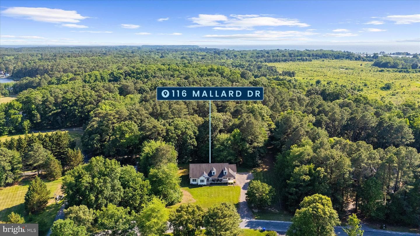 116 Mallard Drive photo 75