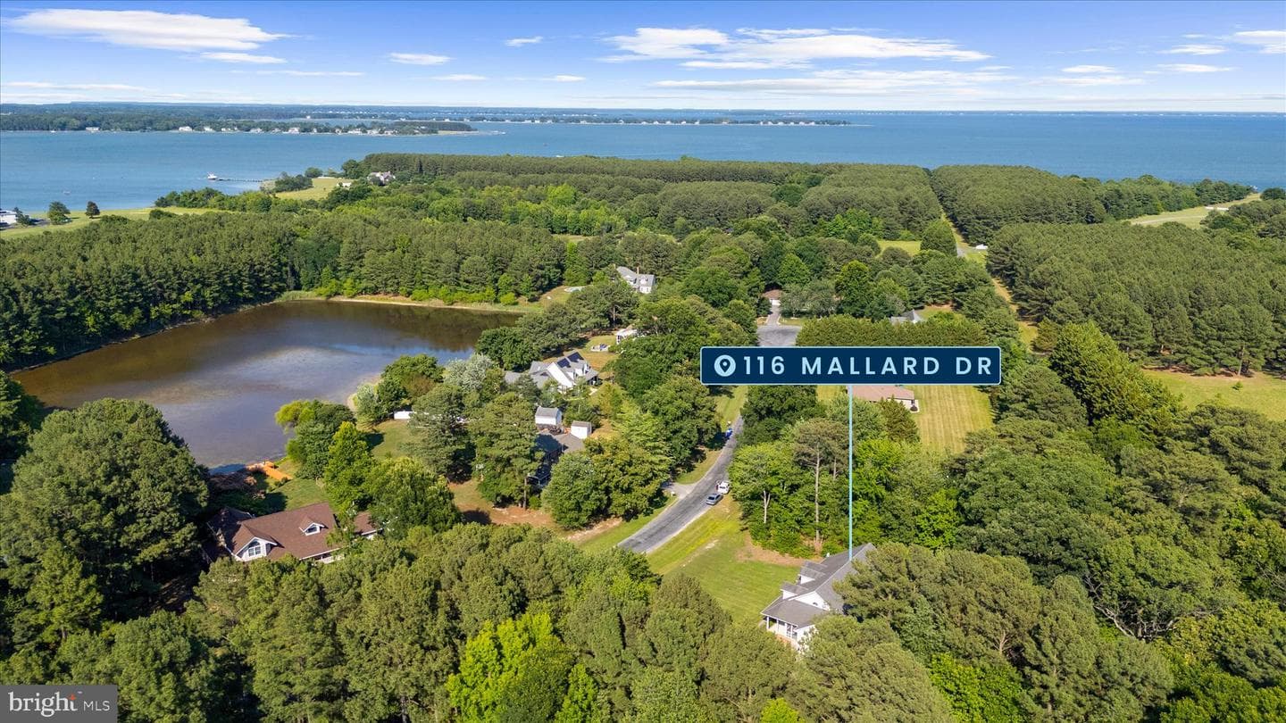 116 Mallard Drive photo 76