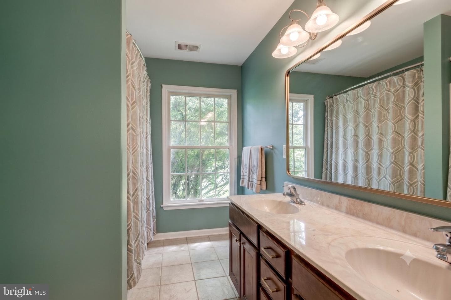 101 Chestnut Lane photo 24