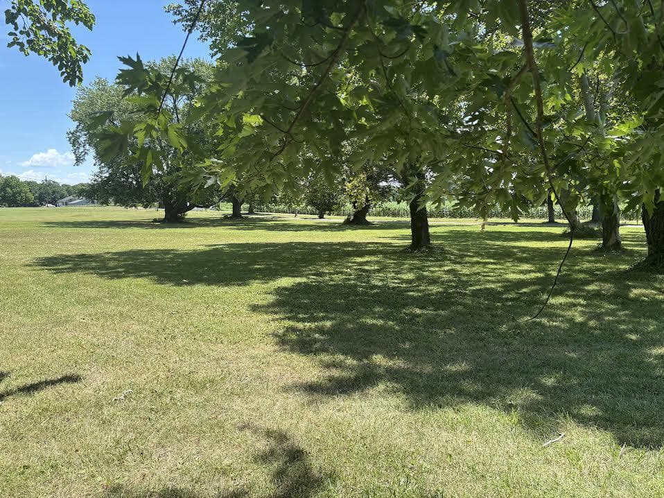 300 Woods Point Road photo 12