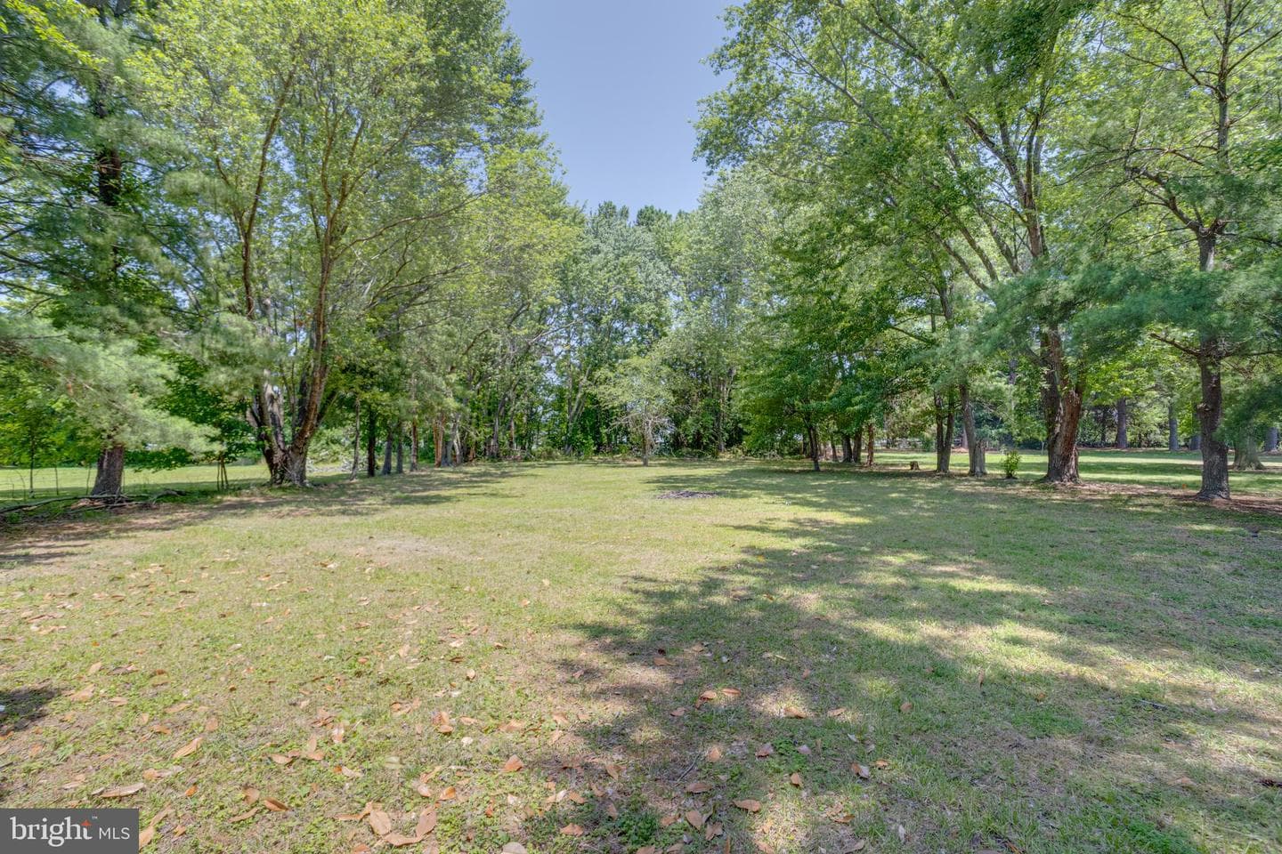 114 Cedar Road photo 77